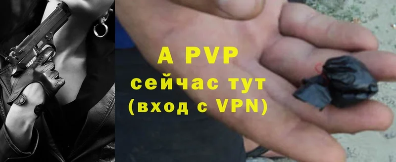 APVP VHQ Гдов